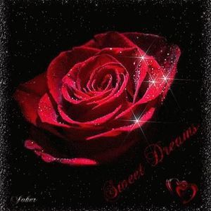 Meet your Posher, Sheila